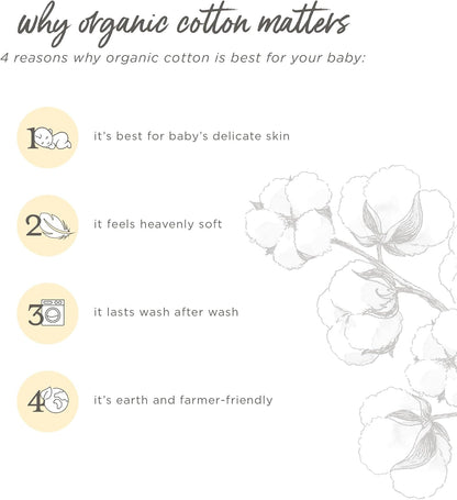 Bodysuits, Short Sleeve and Long Sleeve One-Pieces, 100% Organic Cotton, Pack of 5